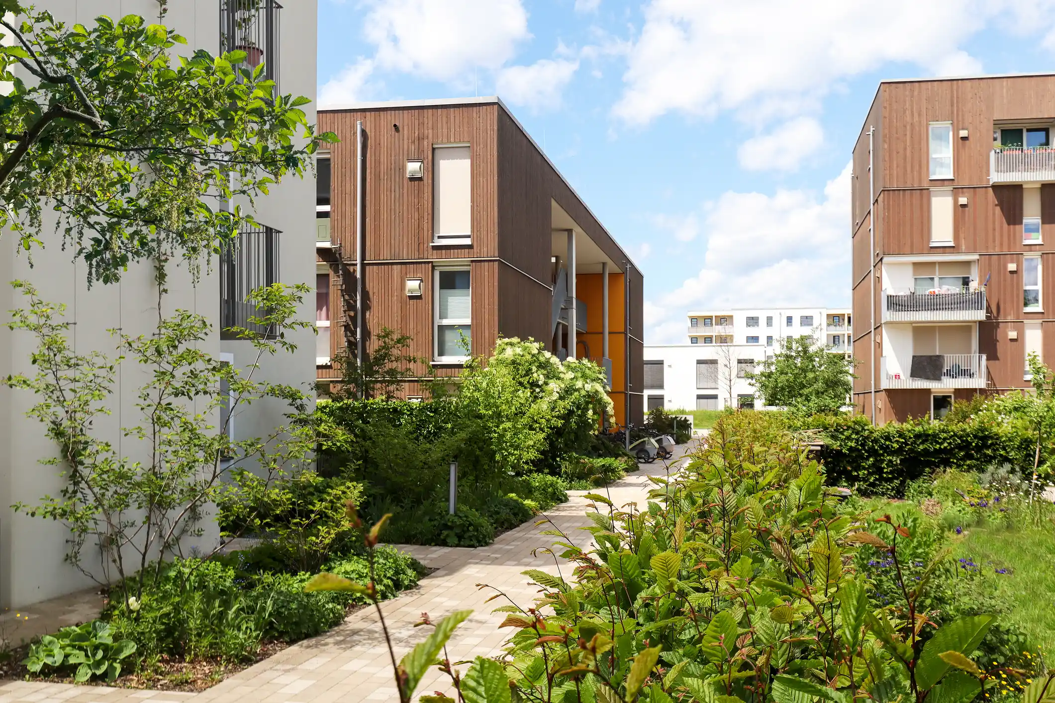 construction sustainable facades